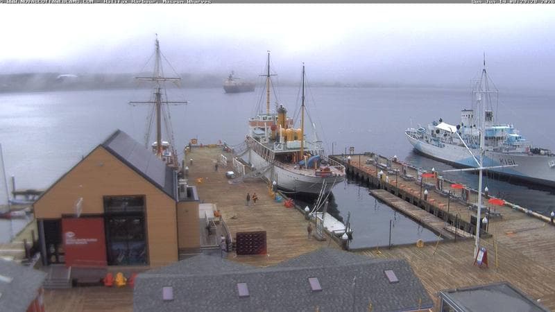 Museum Wharves