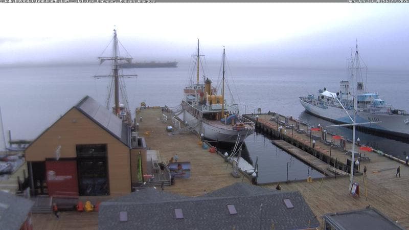 Museum Wharves