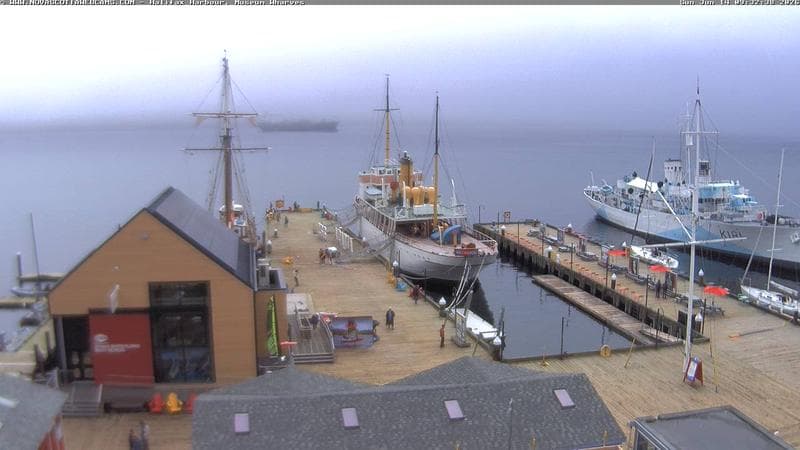 Museum Wharves