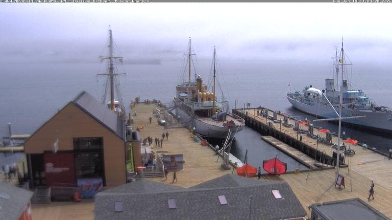 Museum Wharves
