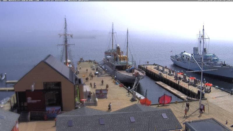 Museum Wharves