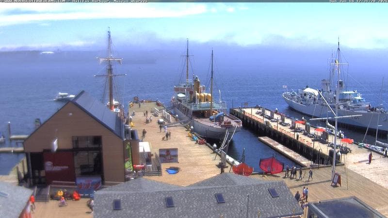 Museum Wharves