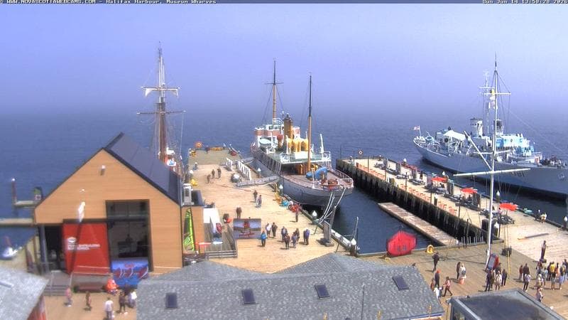 Museum Wharves