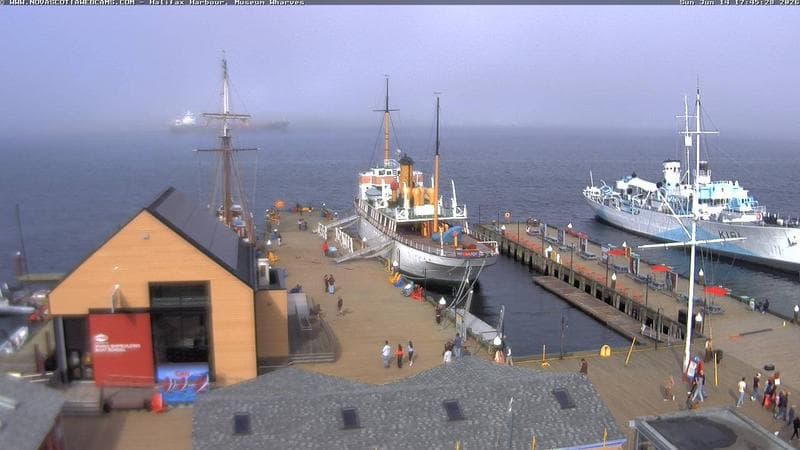 Museum Wharves