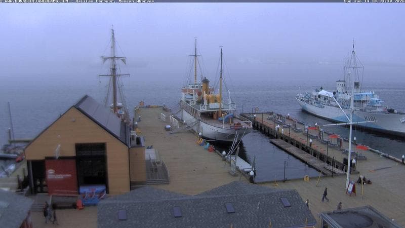 Museum Wharves