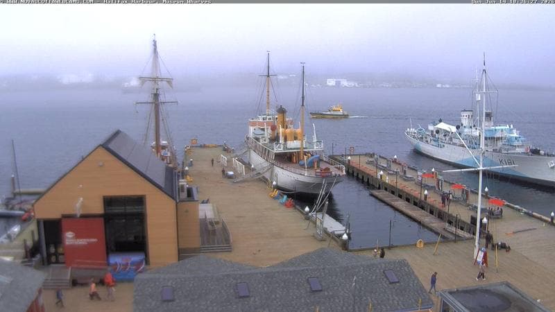 Museum Wharves