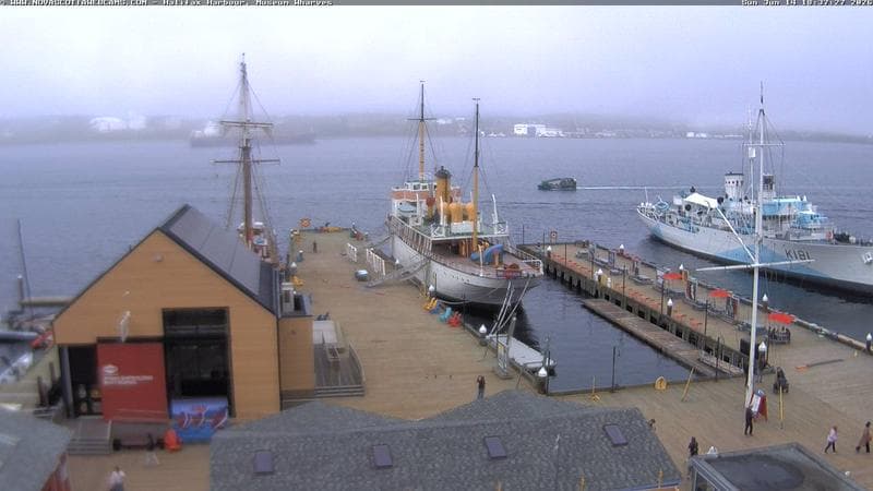 Museum Wharves