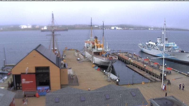 Museum Wharves