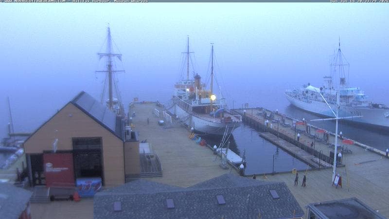 Museum Wharves