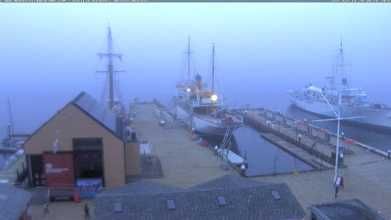 Museum Wharves