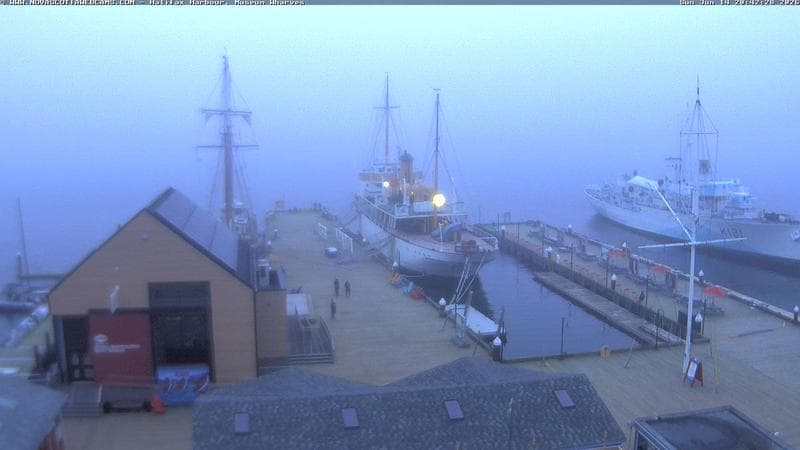 Museum Wharves
