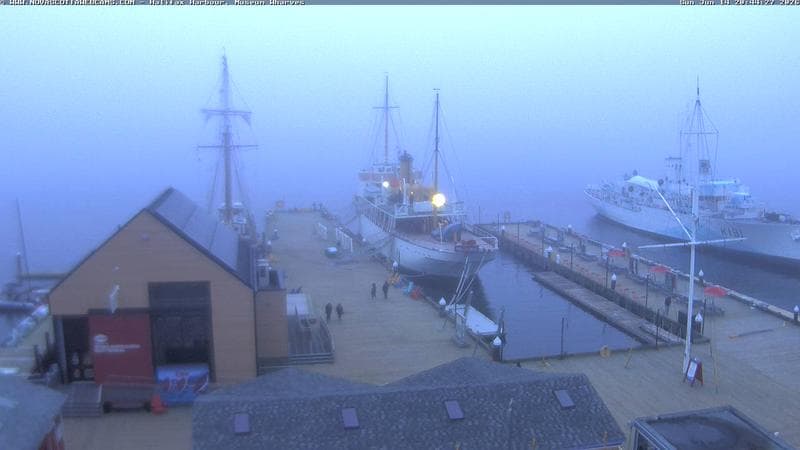 Museum Wharves