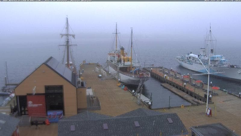 Museum Wharves