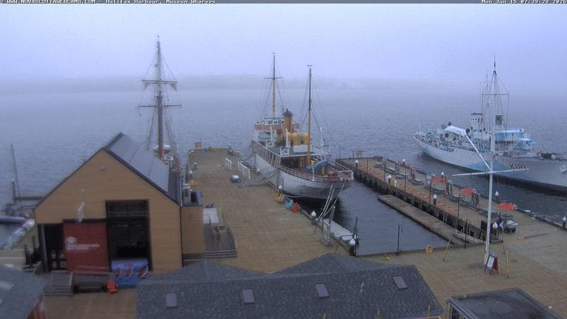 Museum Wharves