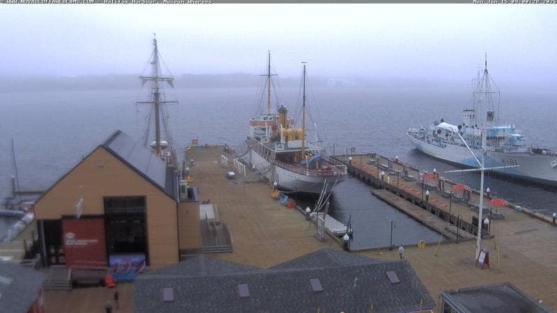 Museum Wharves