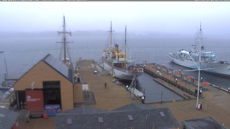 Museum Wharves