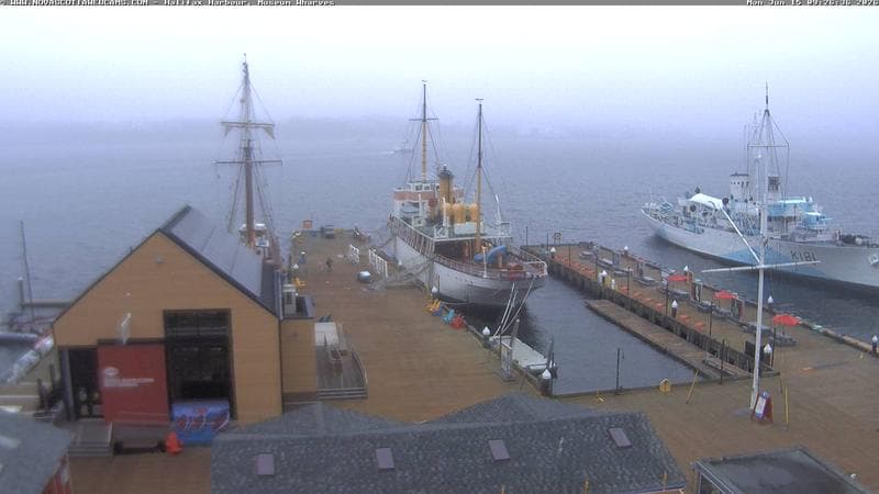 Museum Wharves