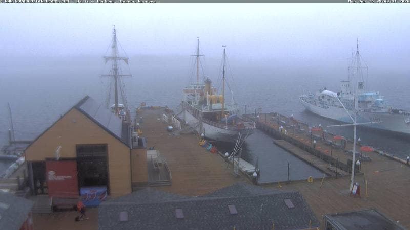 Museum Wharves