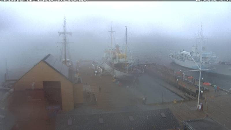 Museum Wharves
