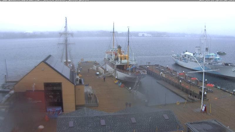 Museum Wharves