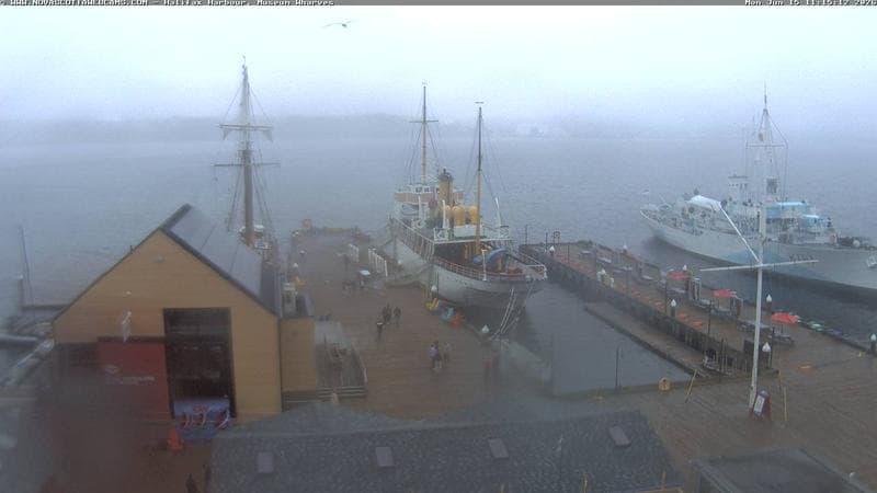 Museum Wharves