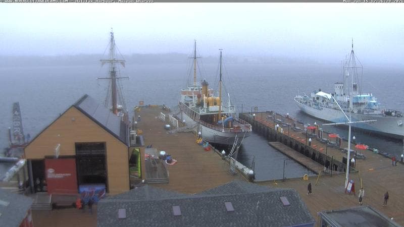 Museum Wharves