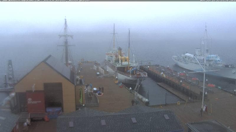 Museum Wharves