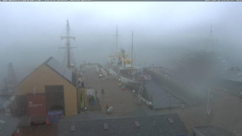 Museum Wharves