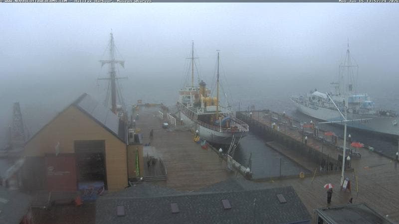 Museum Wharves