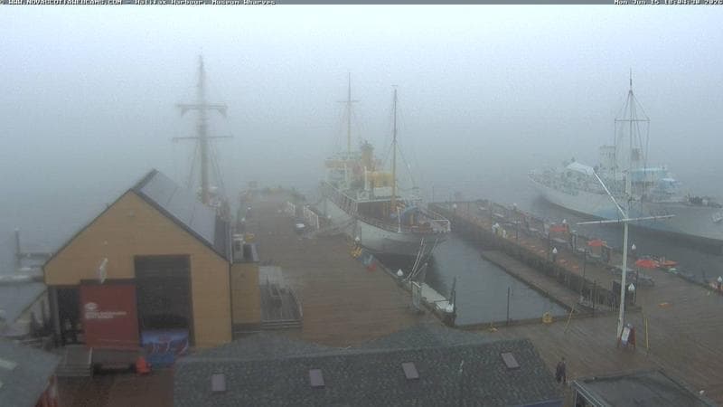 Museum Wharves
