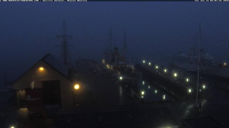Museum Wharves