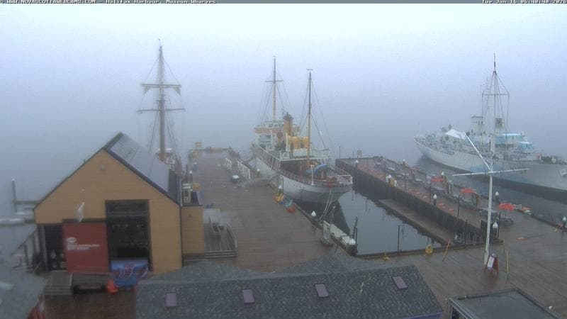 Museum Wharves