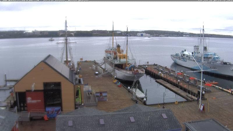 Museum Wharves