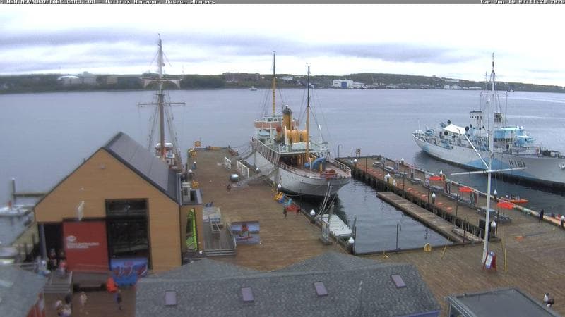 Museum Wharves