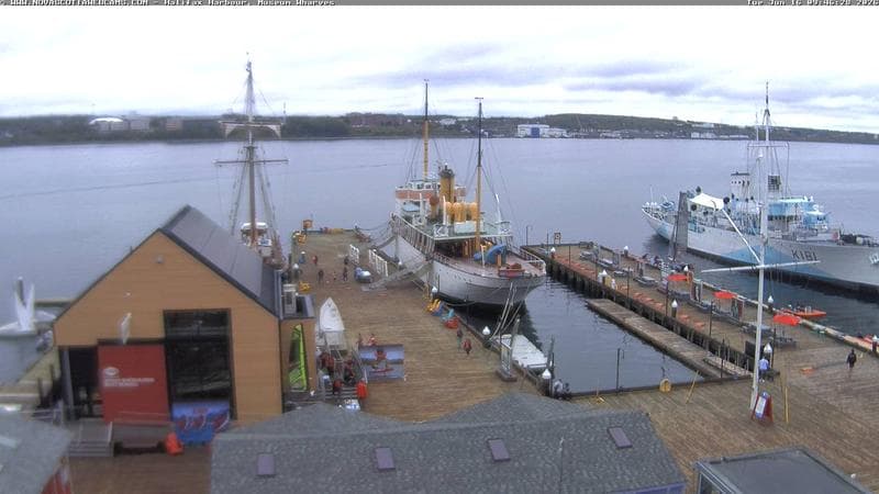 Museum Wharves