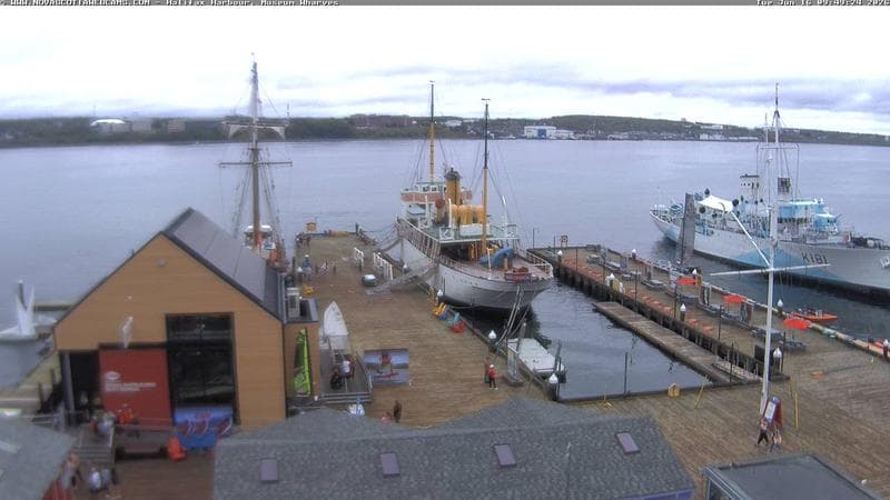 Museum Wharves