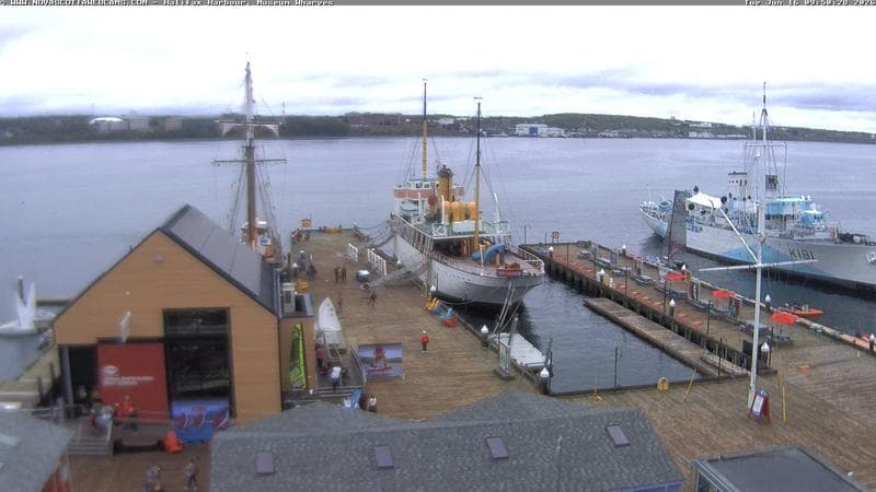 Museum Wharves