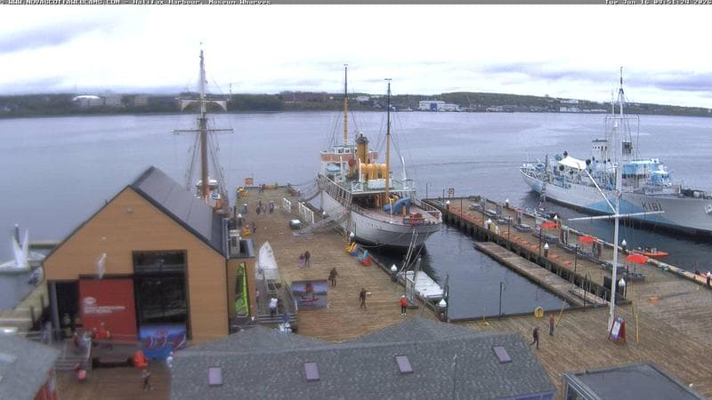 Museum Wharves