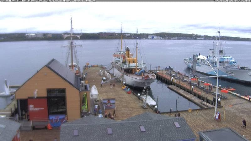 Museum Wharves