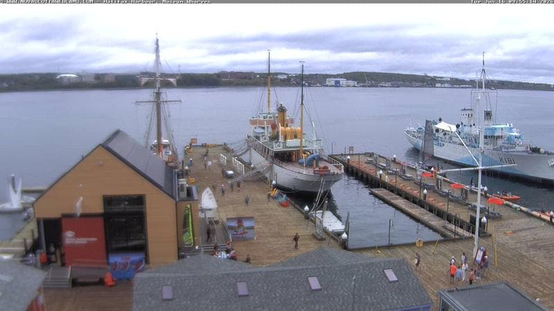Museum Wharves