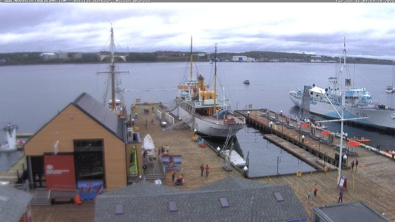Museum Wharves