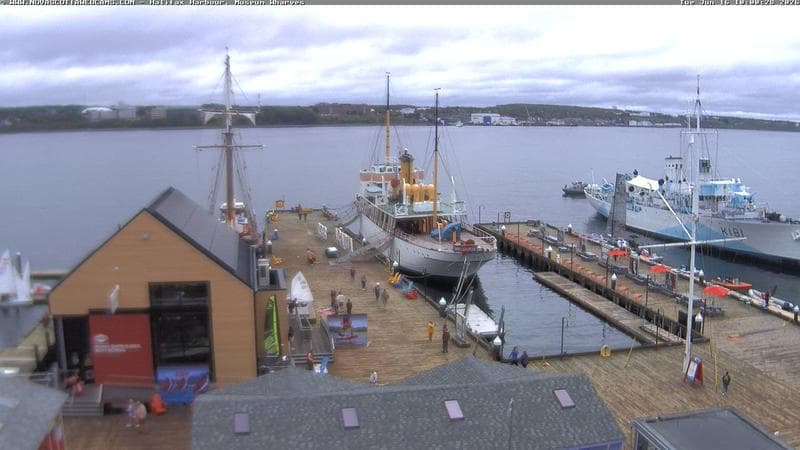 Museum Wharves