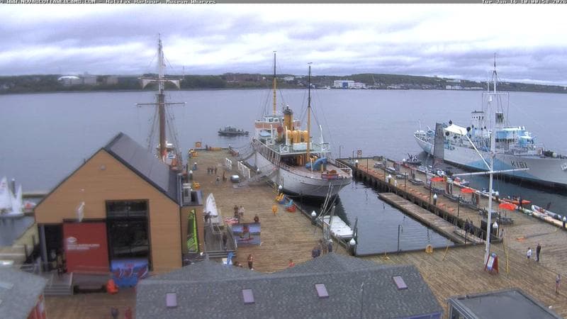 Museum Wharves