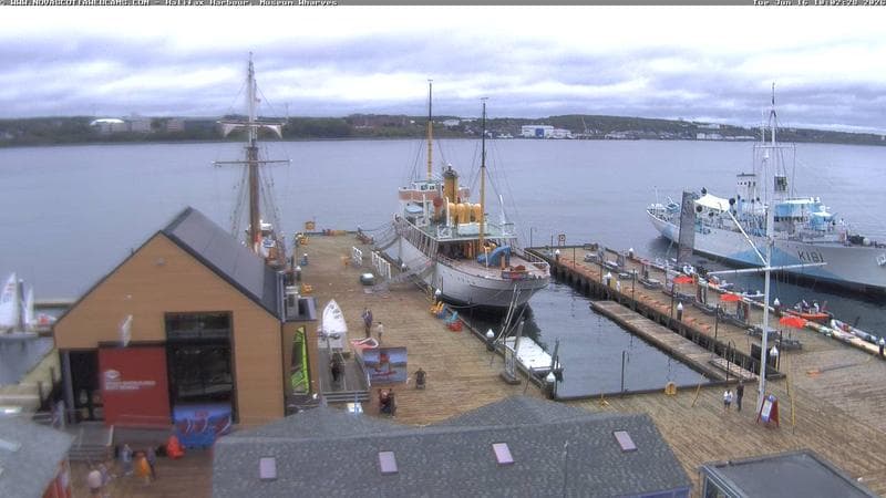 Museum Wharves