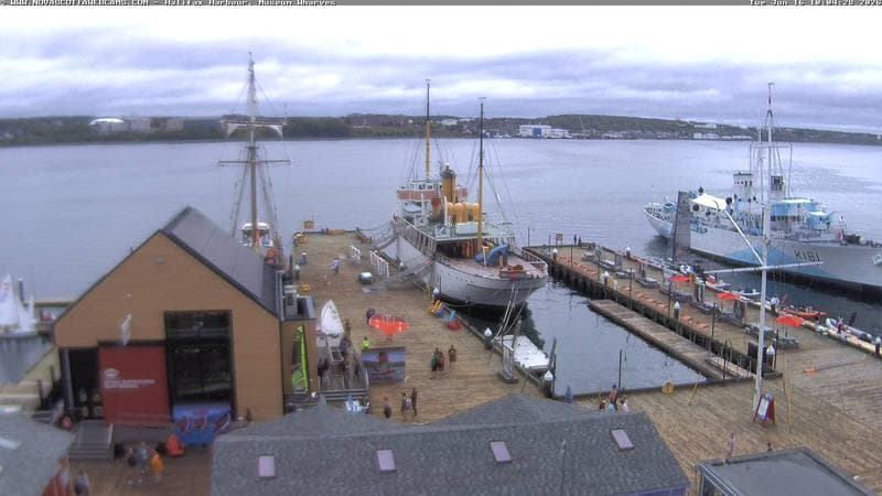 Museum Wharves