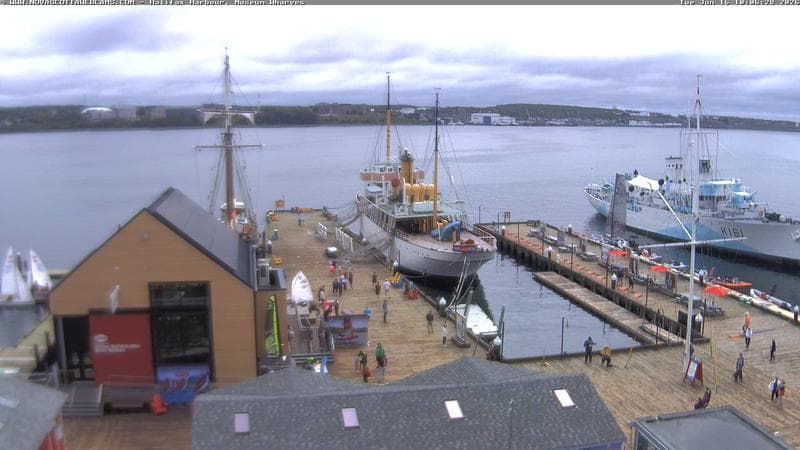 Museum Wharves