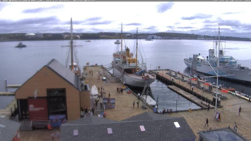 Museum Wharves