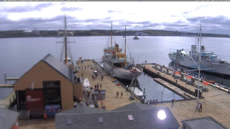 Museum Wharves