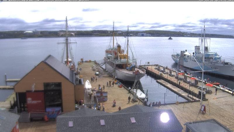 Museum Wharves