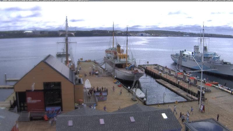 Museum Wharves